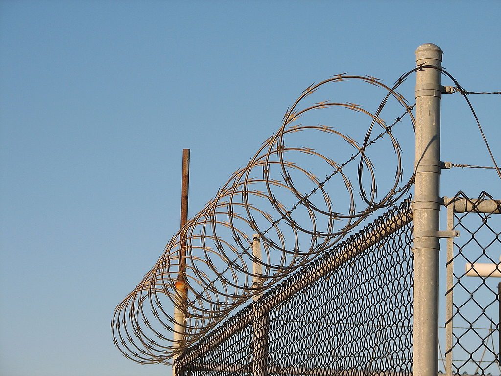 Concertina Wire