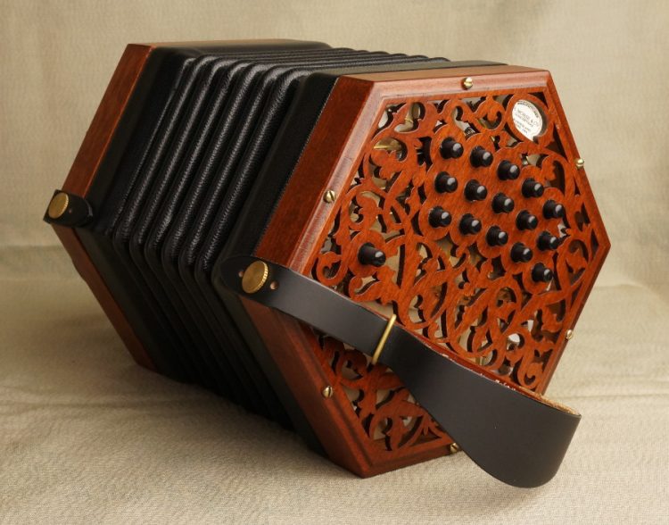 The Top 5 Concertinas under 2500 McNeela Music