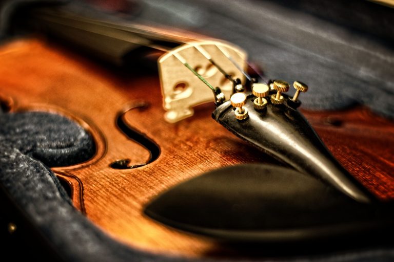 How Does a Violin Work? An Expert Guide to the Structure & Mechanics of the Violin