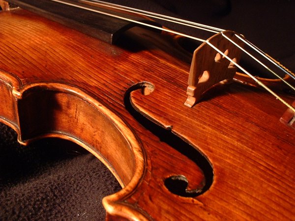 Violin Bridge, Strings and F hole - violin myths and warning signs