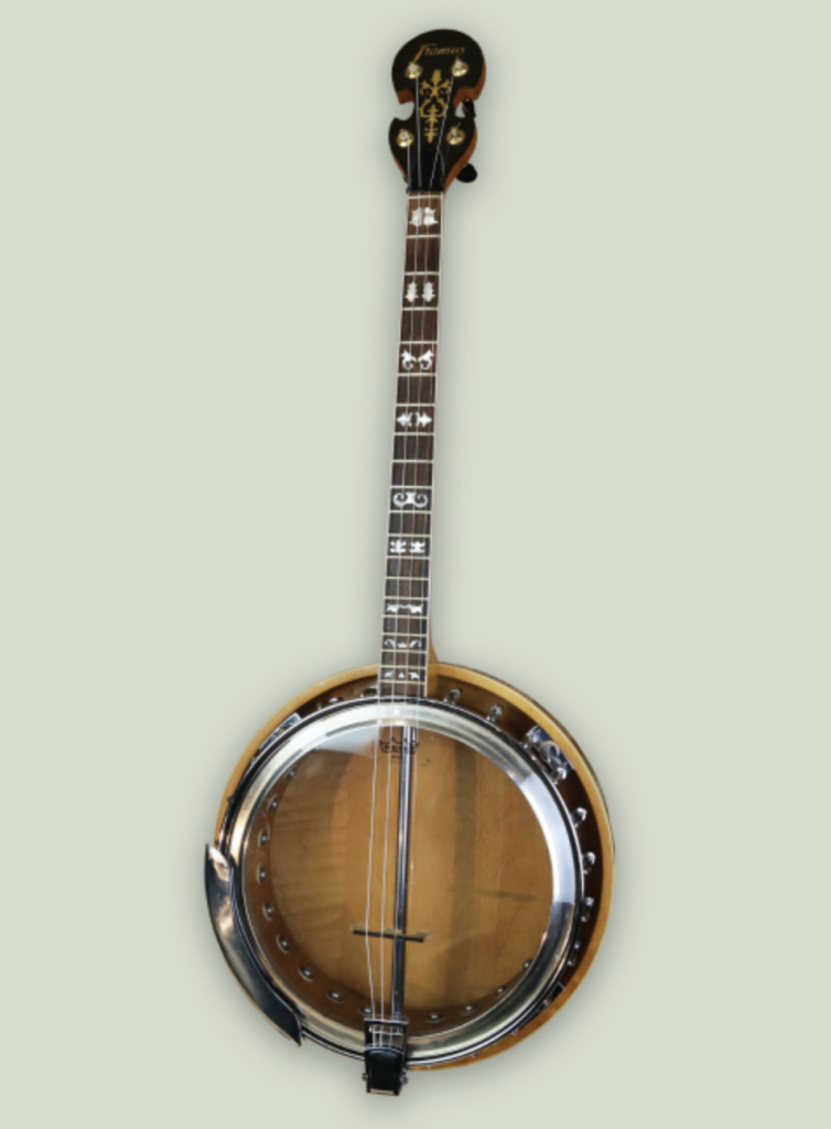 The Irish Tenor Banjo Buyer's Guide McNeela Music
