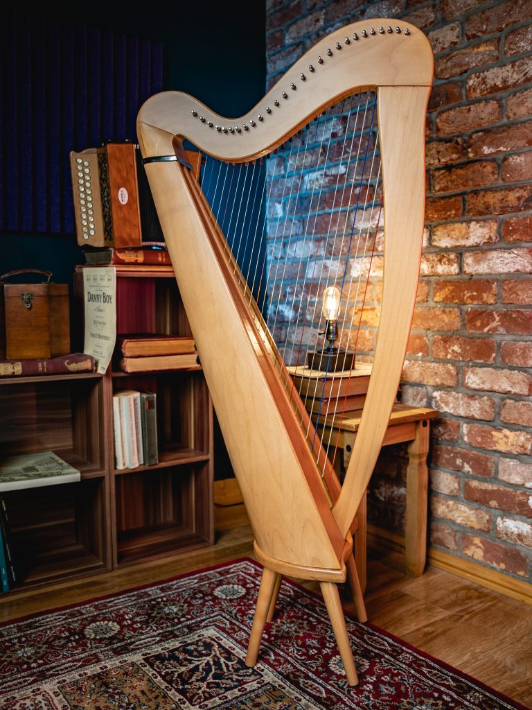 Ireland's Top 5 Favourite Traditional Irish Instruments