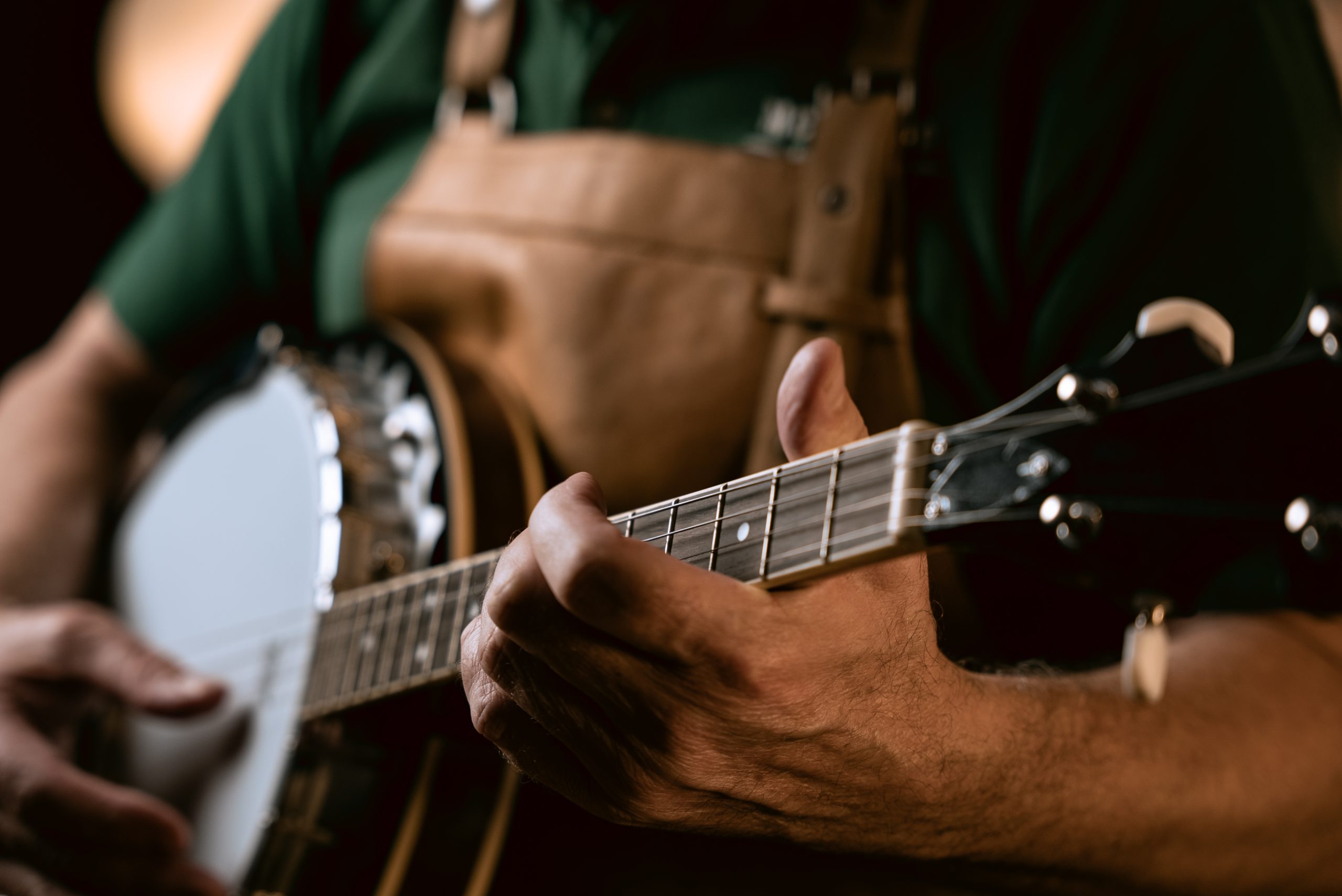 The Best Adult Beginner Irish Tenor Banjo for Sale Under $500