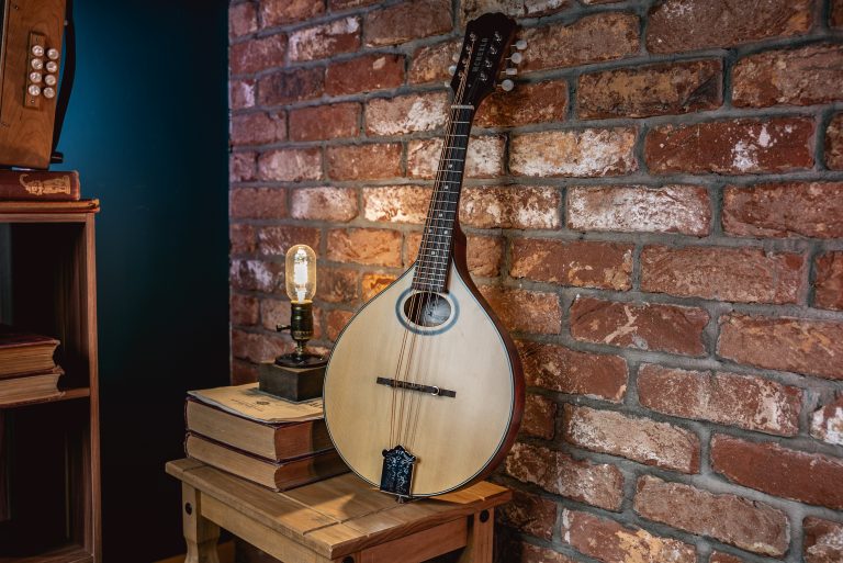 McNeela's Expert Guide To The Irish Mandolin