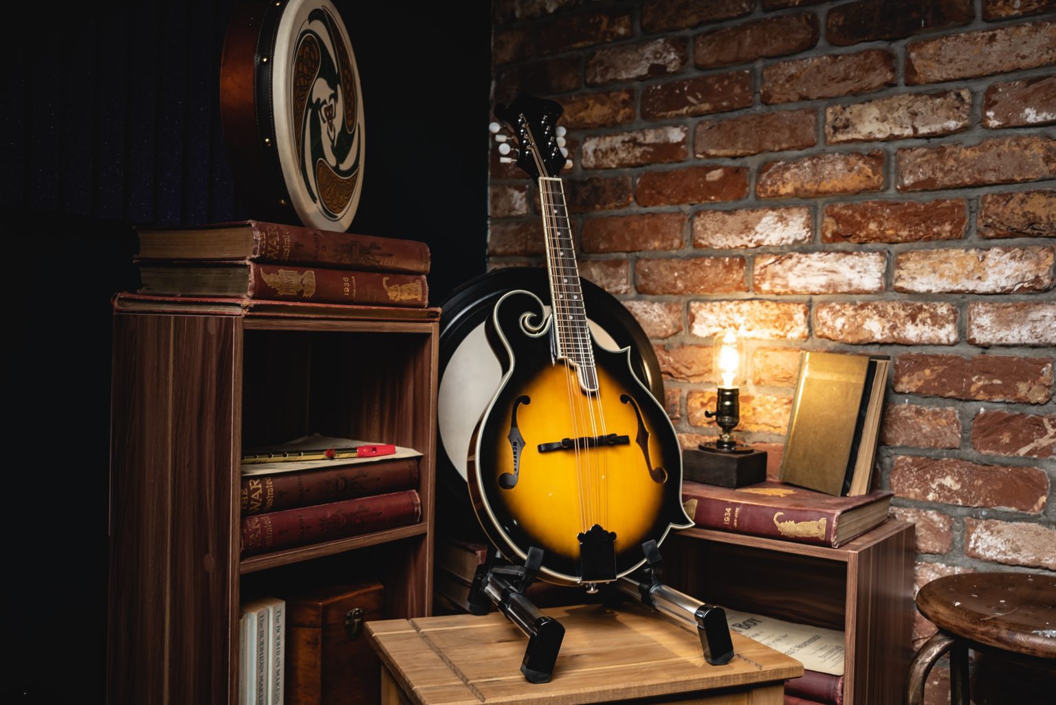 McNeela's Expert Guide To The Irish Mandolin