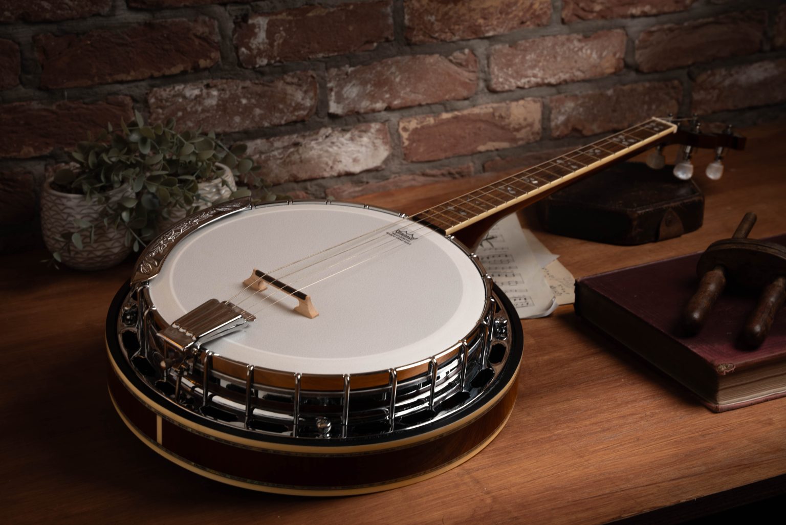 Understanding Tenor Banjos Origins & Its Evolution