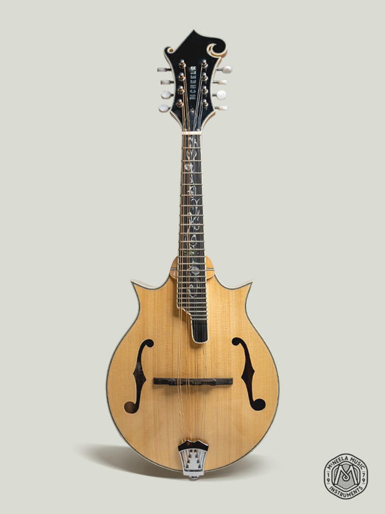 mcneela signature dc mandolin