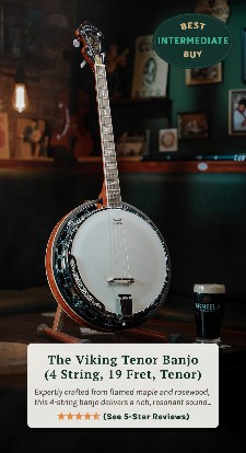 The viking banjo from McNeela