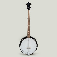 Best Banjos for Beginners in 2025 (Buyer’s Guide) 13 McNeela-5-String Banjo_The Renegade