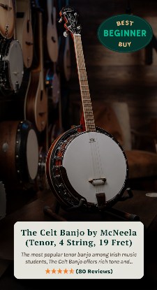 Best Banjos for Beginners in 2025 (Buyer’s Guide) 4 The McNeela Celt Banjo (19 Fret)