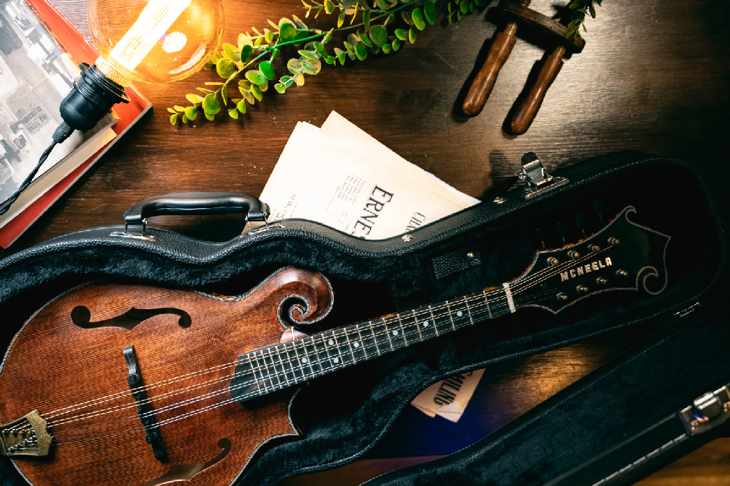 7 Reasons to Buy Your Next Mandolin from McNeela Music image