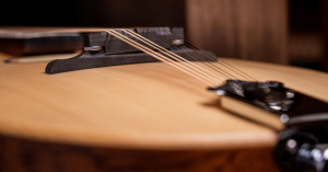 A-Style Mandolin Player