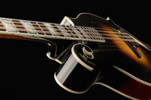 The Best Mandolins for Sale and What to Look For Before You Buy 2 Beginner Mandolin
