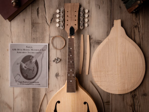Beginner's Guide to Mandolin Parts and Accessories