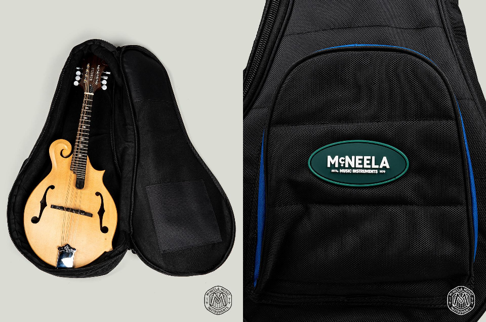 Hard Case for Your Mandolin