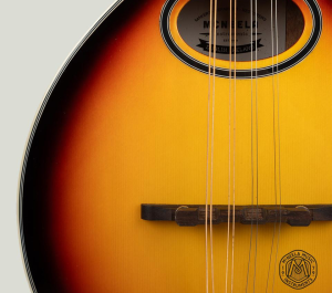 McNeela Mandolin Lineup
