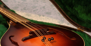 McNeela Mandolins