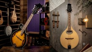 Premium Mandolins Collection