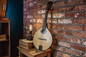 A-Style vs. F-Style Mandolin: Which Is Best for Irish Traditional Music? 2 What Is an A Style Mandolin 1