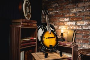 A-Style vs. F-Style Mandolin: Which Is Best for Irish Traditional Music? 3 What Is an A Style Mandolin