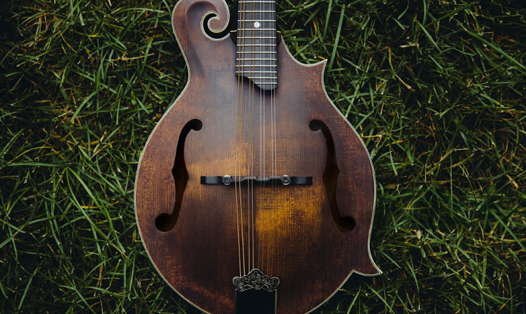 What Makes a Great Irish Mandolin? A Buyer's Guide to McNeela Mandolins